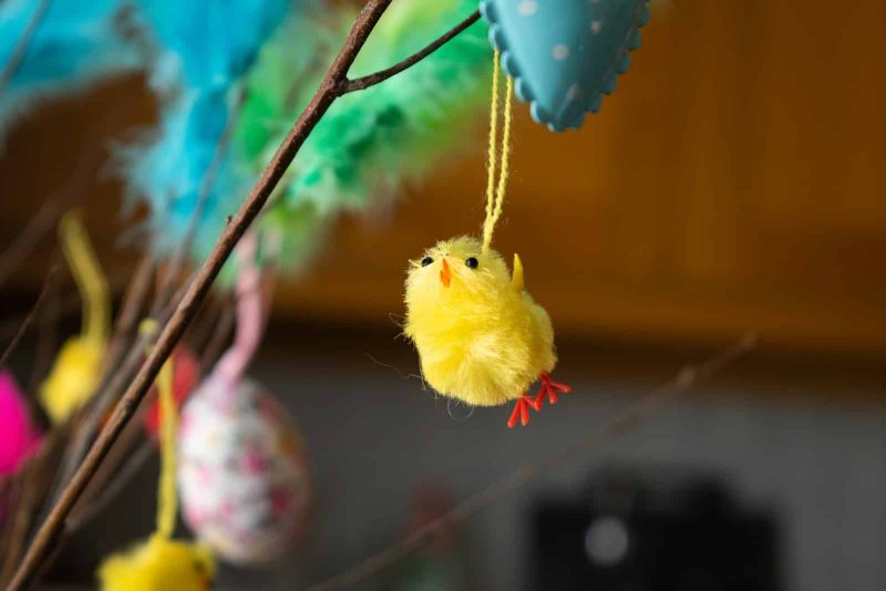 Liebevolle Ostergrüße für die Familie 2026 – Frohe Ostern-Sprüche und -Bilder
